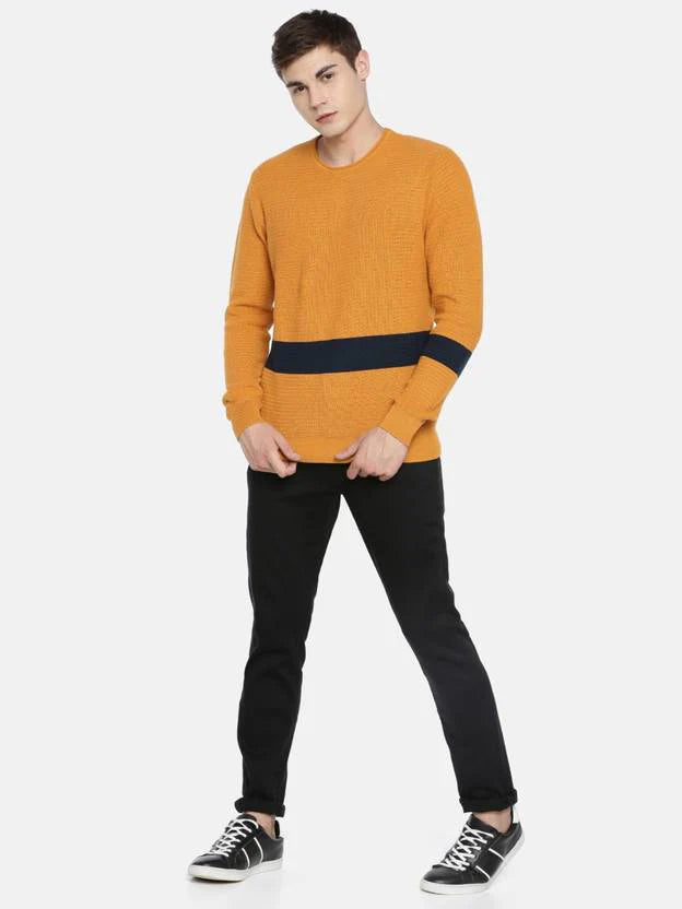 Lee Textured Knit Sweater with Contrast Stripe